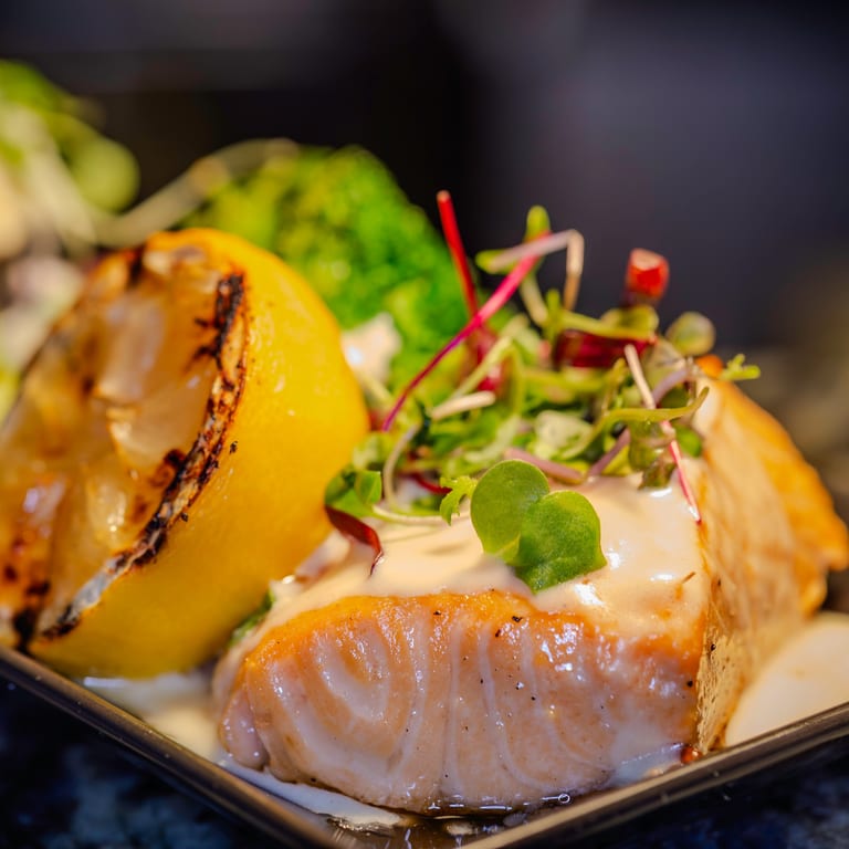 Delicious Salmon Dishes